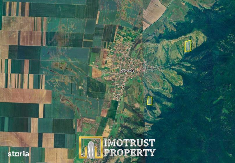 Teren agricol de vanzare 17,51 ha Covasant 7.000 /ha - 2