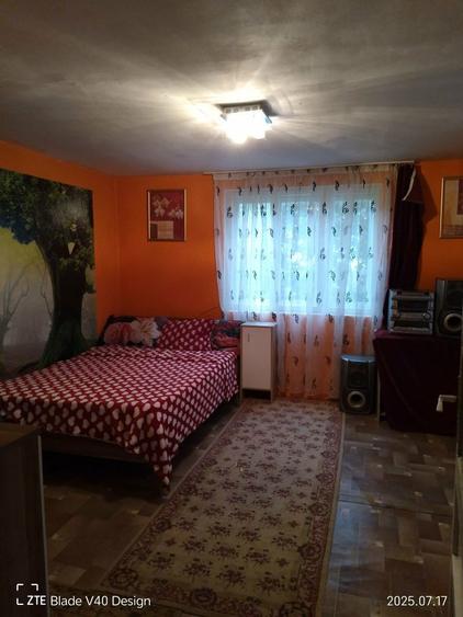 Casa si gradina de vanzare - 6