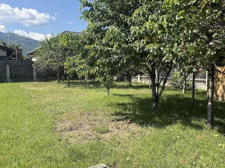 Teren de inchiriat linga lefrumarin Brasov - 3