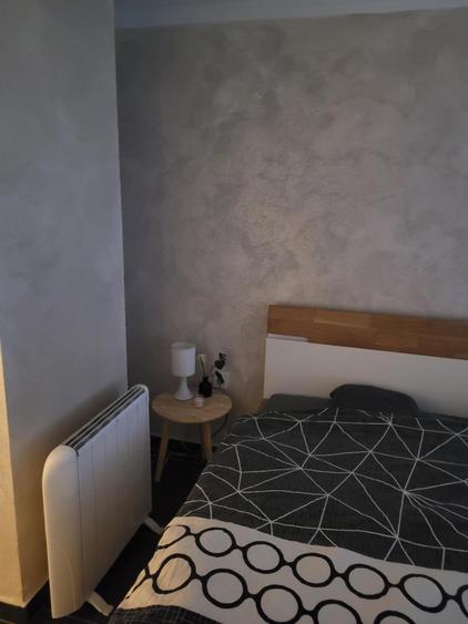 de inchiriat apartament 2 camere in zona Campului - 4