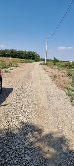   Teren intravilan în Magurele, Ilfov,  suprafață  1000 mp. /2000mp. - 4