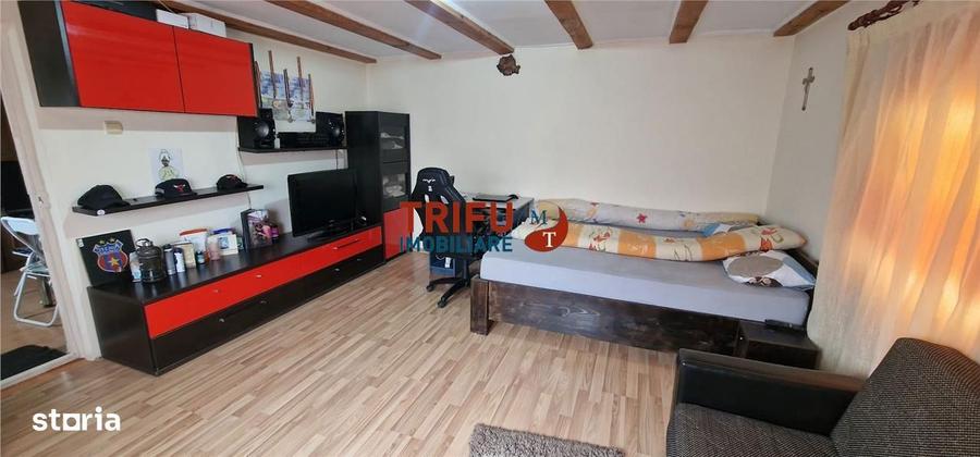 Casa de vanzare 3 camere zona Sard - 10