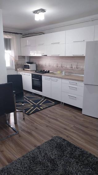 Chirie apartament 2 camere zona VIVO - 8