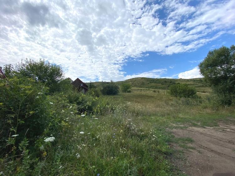 Teren intravilan 900 mp,  Sf Ion - 1