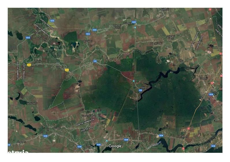 Terenuri agricole Peris Burias direct proprietar - 2