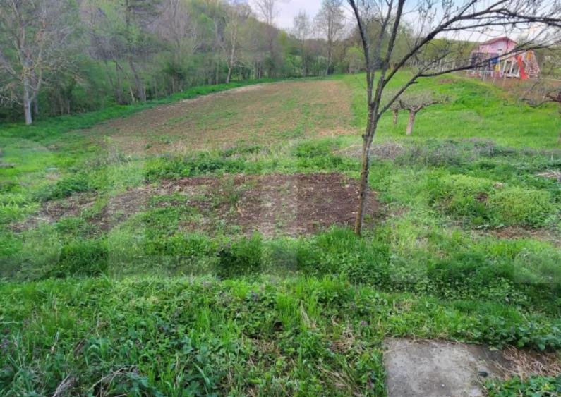 Teren 6650 mp, cu casa nefinalizata de 111 mp, in Nisipoasa - 6