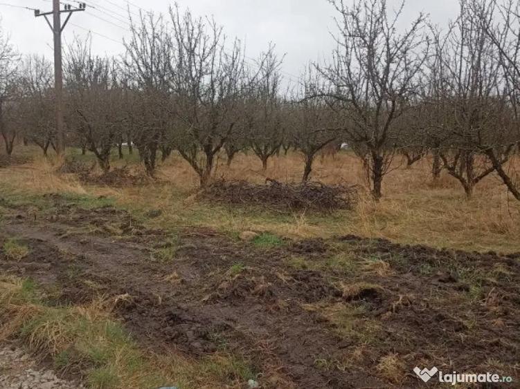 De vanzare terenuri intravilane in Sfantu Gheorghe - 1