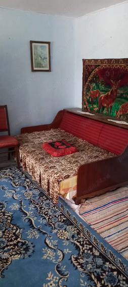 Casa batraneasca 2 corpuri - loc. Mircea Voda, Tulcea - 8