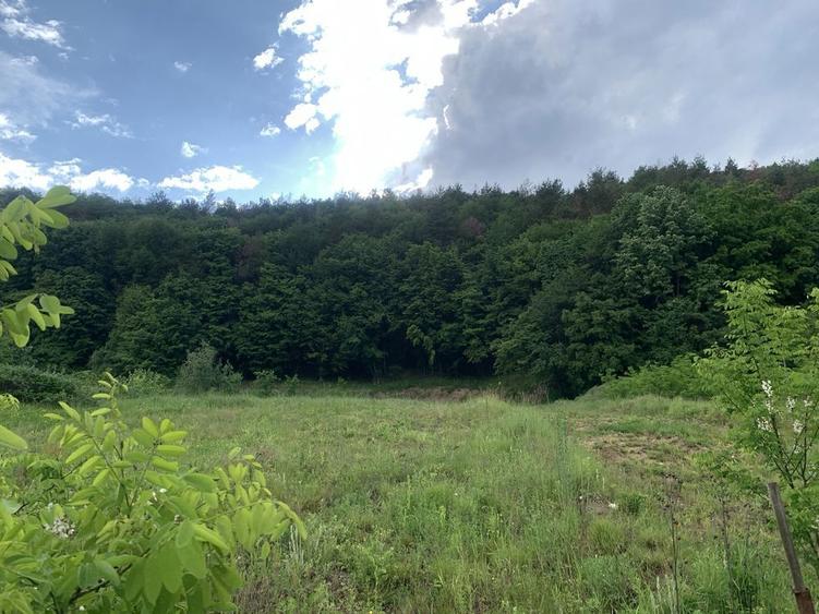 Teren pensiune, casa. de vacanta Maracineni - 6