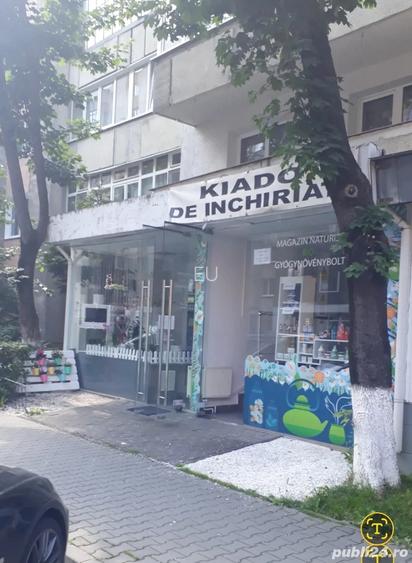 Dau in chirie spatiu comercial Tudor