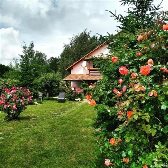 Intr o pozitionare cu apa curgatoare si incantare montana, Dejani, Fagaras - 1