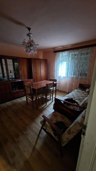 Dau in chirie sau vand casa in Valea Larga, 1000 m.p curte si gradina - 7
