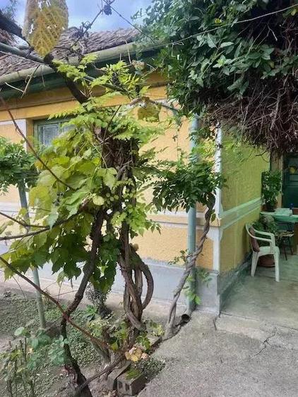 Casa de Vanzare-Printul Turcesc!!! - 2