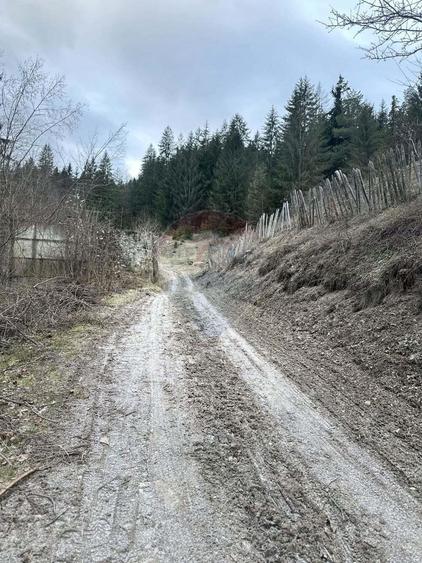 Teren 2,000mp Stejaru (Pangarati) / None - 6