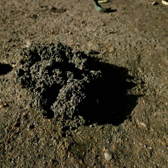 casa de vinzare. de renovat - 1