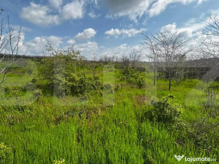 Teren intravilan 990 mp, front 33 ml, zona platou Carcea - 5