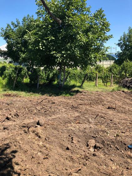 Teren de vanzare - 1