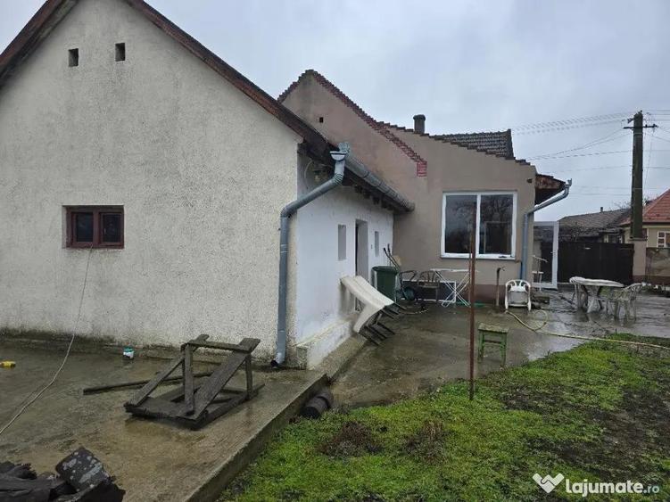 Casa plus anexa parter, Tamaseu central, gaz, sosea , ter 3040 mp - 4