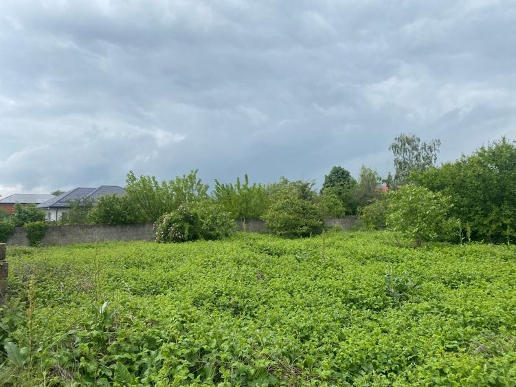 comuna Islaz - teren 1374mp - canalizare - gaze - curent - asfalt - potential - 6