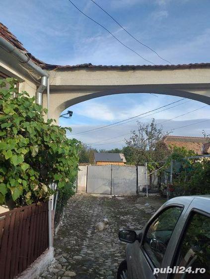 Imobiliare,casa si gradina - 6