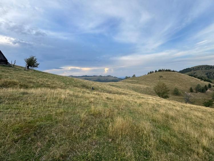 Teren Extravilan de Vânzare în Păltiniș - Oportunitate Excepțională Investiții! - 5