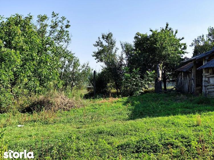 Casa la tara, Calea Mare, Bihor, teren mare, 2 intrari auto vanzare - 13