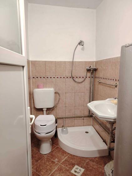 Casa in Diosig cu teren 1400 mp - 7