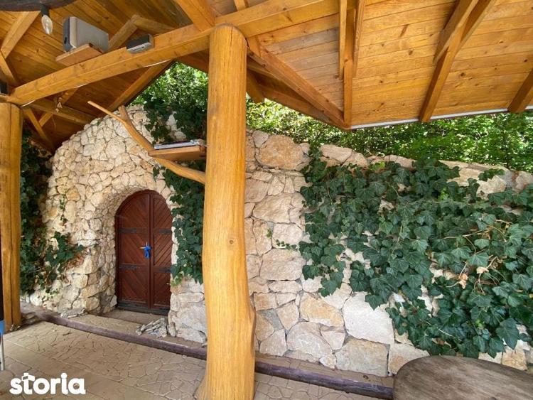 Domeniu exclusivist 17.000 mp | Vila luxury cu piscina & SPA Carbu - 18