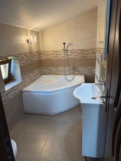 Vand casa superba in Mandruloc,Arad - 4