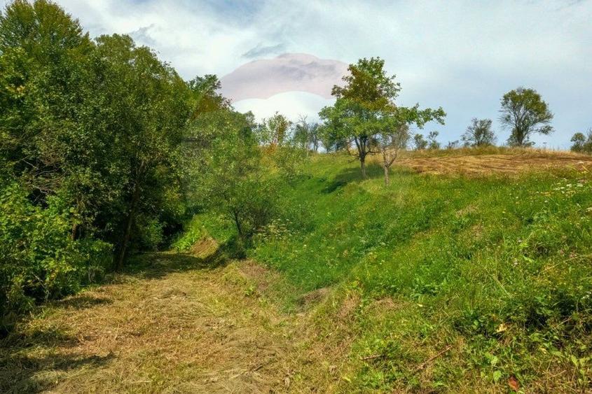 Casa veche cu teren ,Varmaga jud Hunedoara - 5