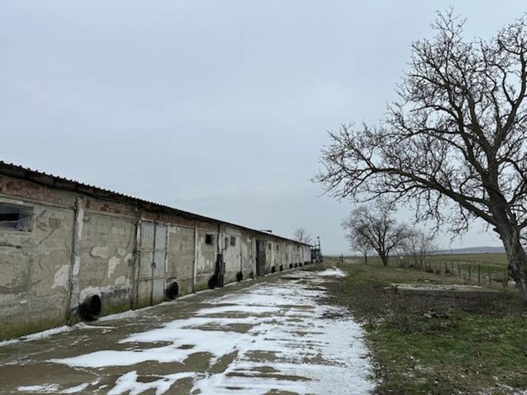 DEPOZIT CEREALE - CEAMURLIA DE JOS/STATIA CFR TVA INCLUS - 14