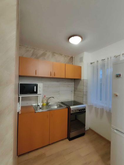 Inchiriez Garsoniera Lapus (Mall Eloctroputere) - 3