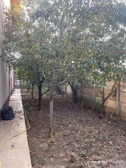 Prelungirea Ghencea, Margelelor, ap. 2 camere, curte 120 mp - 19