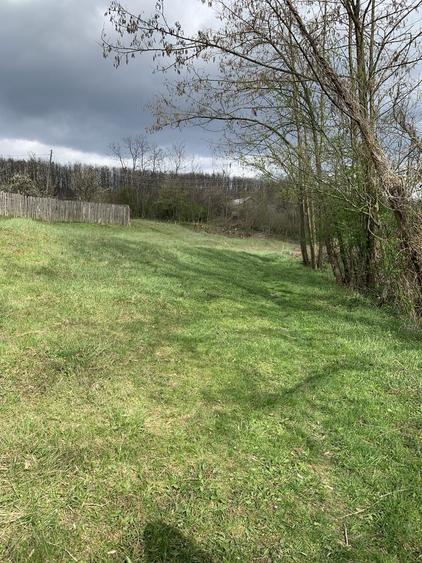 Vand teren retras, deosebit - 6