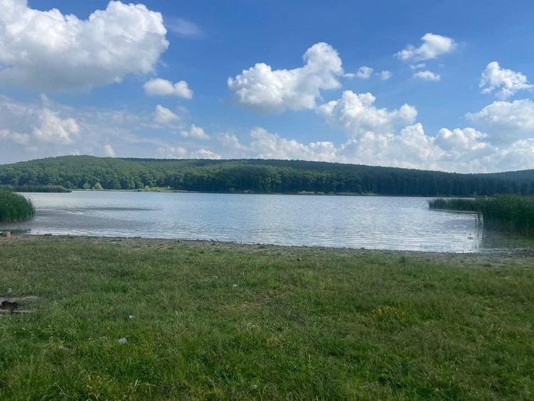 Vand teren lac /baraj Ianova (Remetea Mare) - 2