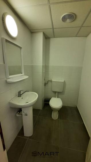 Hala depozitare 800 mp zona Turnisor - 6