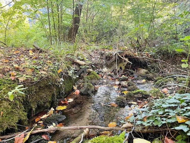 Teren pentru casa de vacanta pe Valea Bratcutei, Bihor - 13