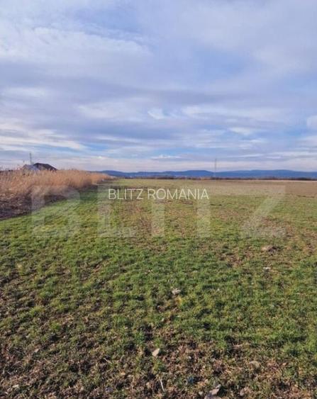 Teren intravilan, 8700mp,Prejmer