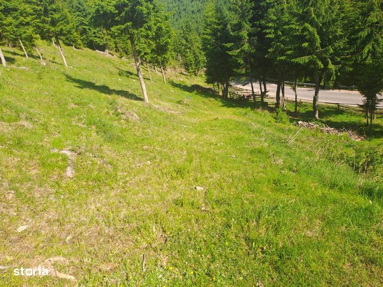 Teren Intravilan 1000mp | Drum ASFALTAT | MAGURI | PANORAMA - 2