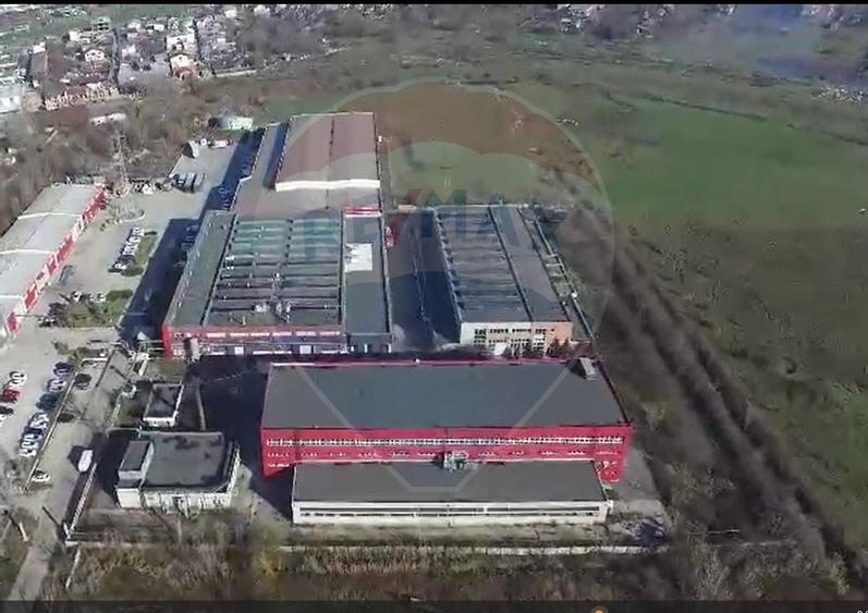 Hala productie & depozitare 9.317 mp | Pallady – Teclu - 1