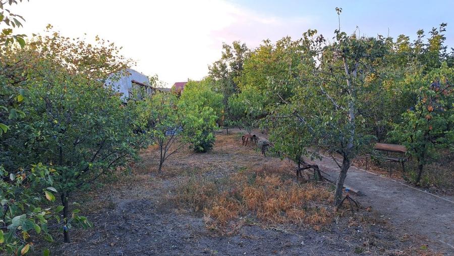 Oportunitate dezvoltare/constructie  2 proprietati Casa+teren 2200 m2,zona buna, - 7