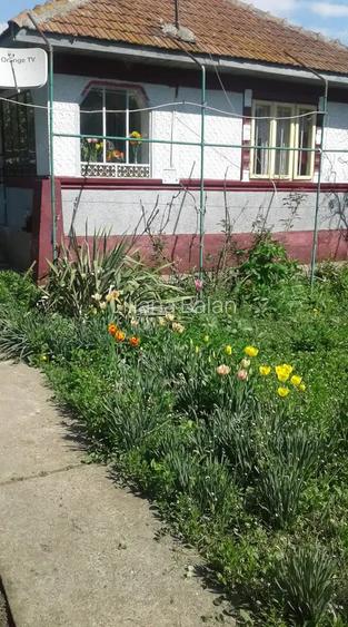 Vand casa comuna Draganesti Vand casa comuna Draganesti