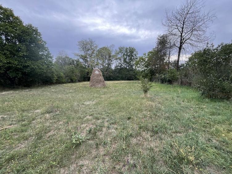 Teren intravilan 2.500 mp Buciumeni, Dambovita - 1