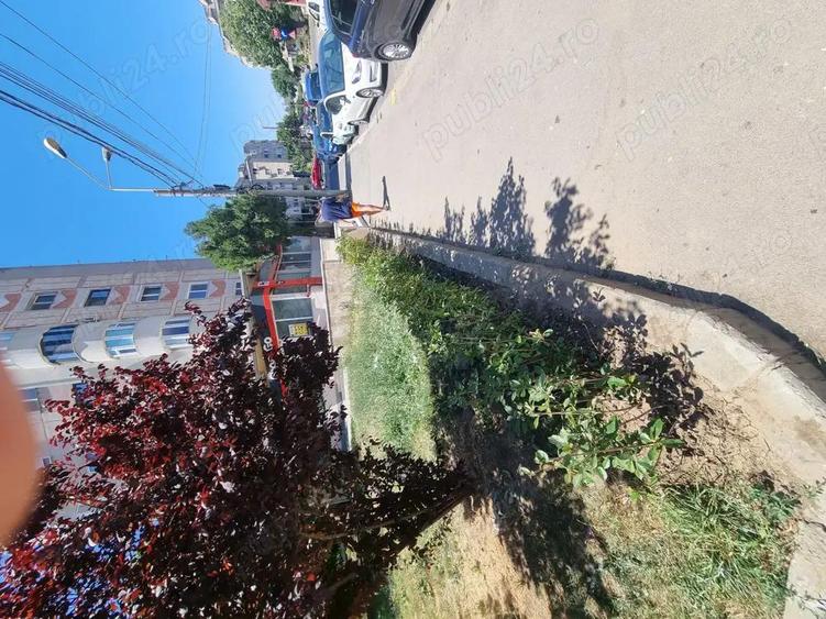 Teren ultracentral Bd. Mamaia - 7