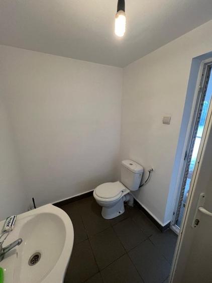 Mioveni - Cosesti - stradal, IDEAL  LOCUINTA/SPATIU COMERCIAL - teren 1250 mp - 13