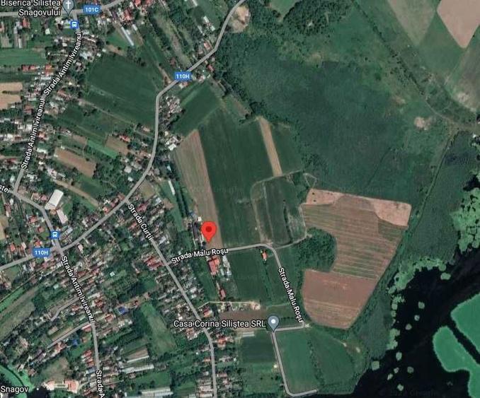 Teren intravilan 8000mp Gruiu, Silistea Snagovului - 1