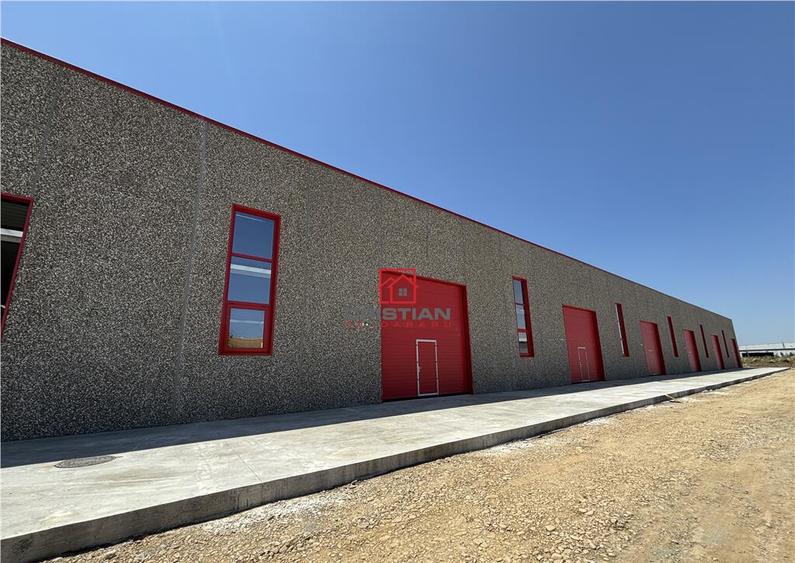 Depozit/spatiu industrial/hala Chitila - Rudeni, ILFOV - 5