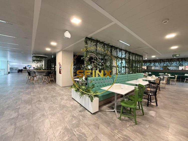 Spatiu birouri, 25 de persoane, terasa, cantina, utilitati incluse in pret - 7