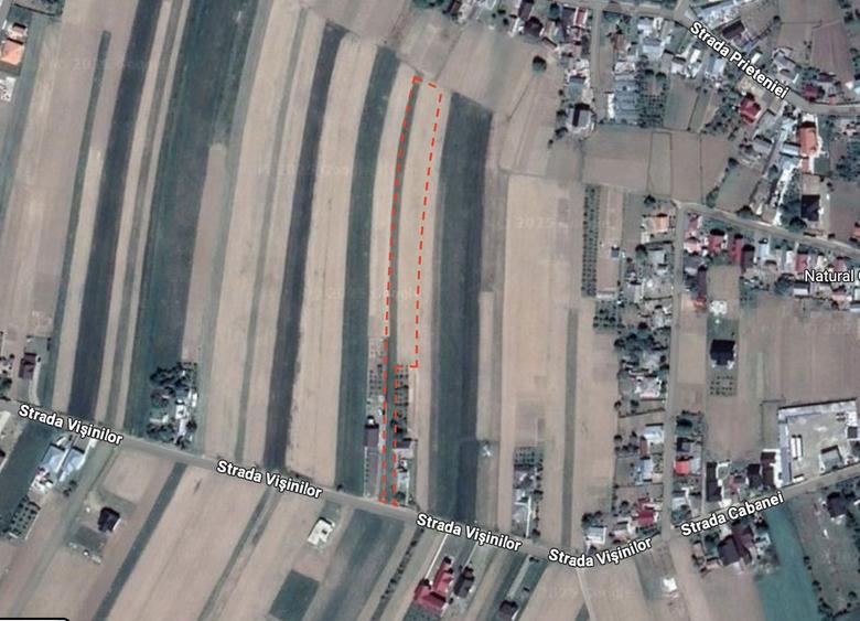 Teren intravilan Salcea Suceava - 5