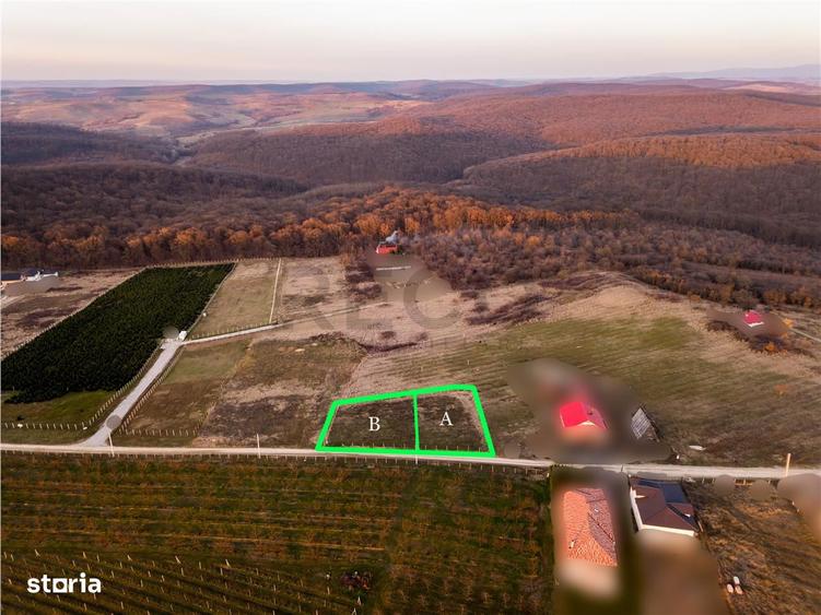 RECO Teren intravilan in Saldabagiu de Munte - 4